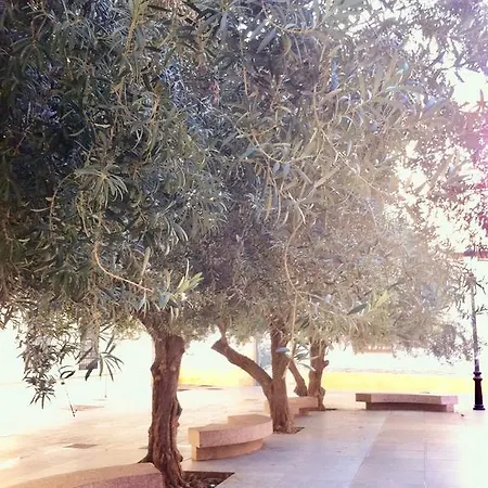 Plaza De דירה מאלגה